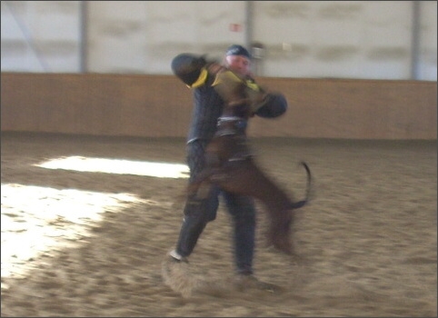 Training in Finland 11/2007